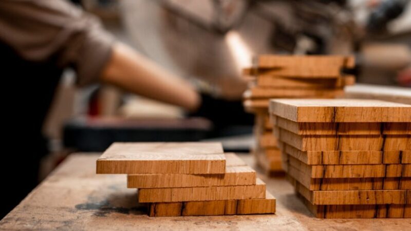 Feira Espírito Madeira teve início em Cariacica na quinta-feira (14) com presença de líderes do segmento