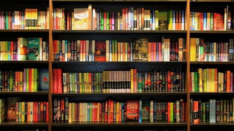 “Paletó Estampado”: Livro infantil terá seu lançamento na Biblioteca Pública de Cariacica nesta quarta-feira (8)
