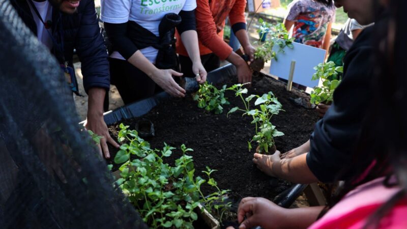 Escola do Campo de Cariacica recebe ações do projeto Escola Transforma
