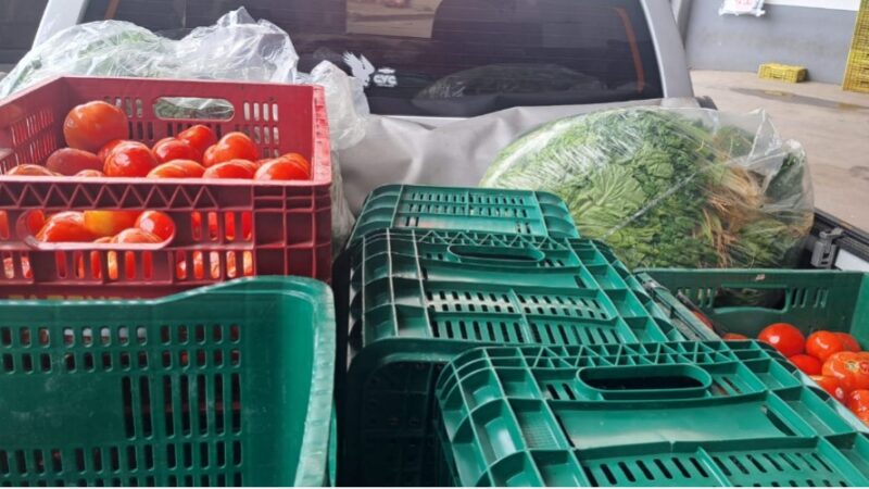 Solidariedade em Ação: Banco de Alimentos de Cariacica Arrecada 5,5 Toneladas junto a Supermercado, Beneficiando mais de 1 Mil Famílias