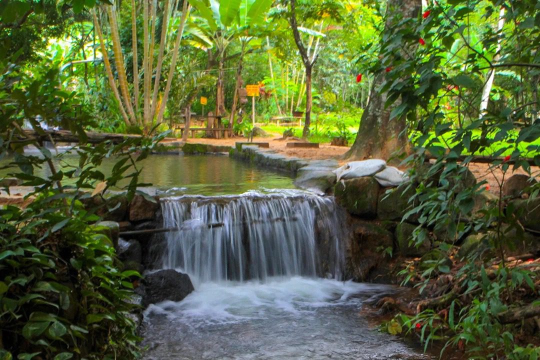Descubra o agroturismo em Cariacica: experiências únicas no coração rural do município