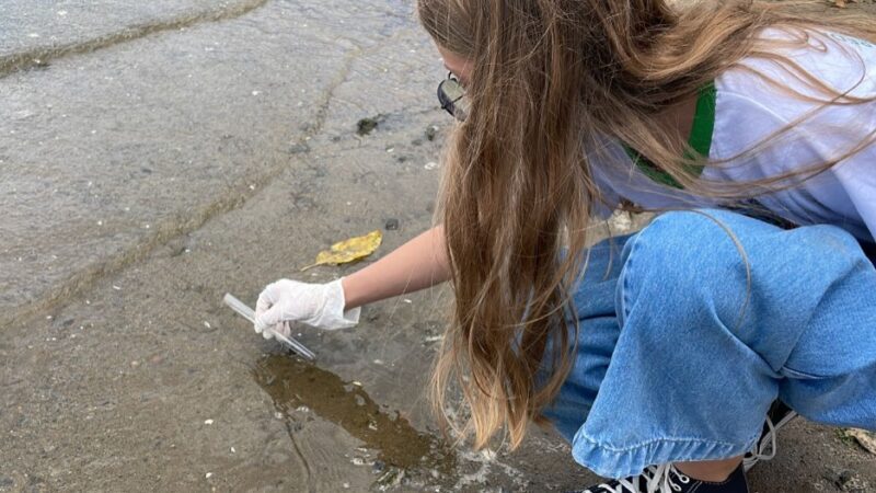 Na Orla de Cariacica, alunos utilizam laboratório móvel para análise de solo e água