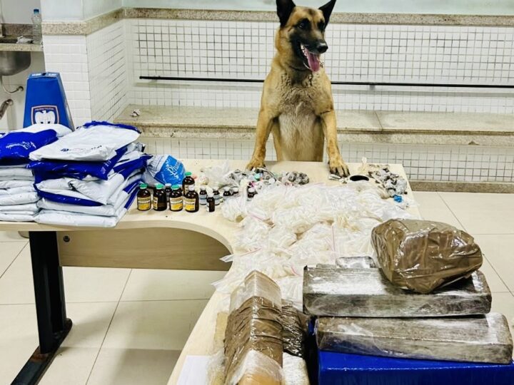 Operação em Itaquari termina com apreensão de mais de 21 quilos de cocaína