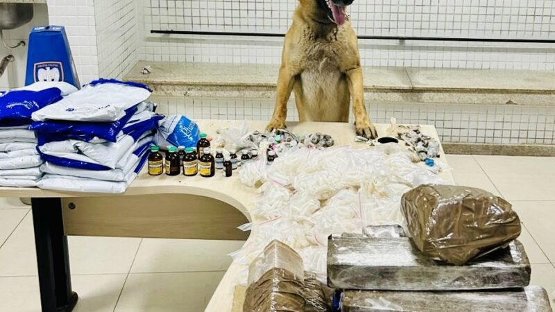 Operação em Itaquari termina com apreensão de mais de 21 quilos de cocaína