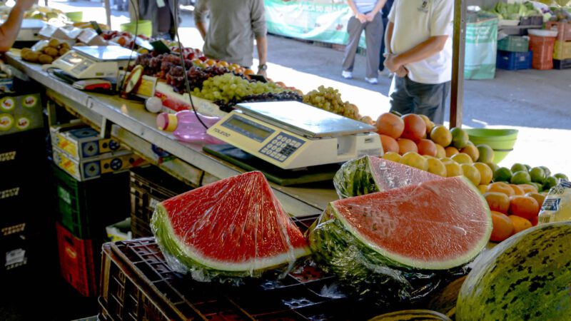 Secretaria de Agricultura e Pesca leva benefícios ao produtor rural do município