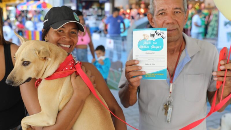 Sete cães ganham novos donos em feira de adoção realizada pela Prefeitura