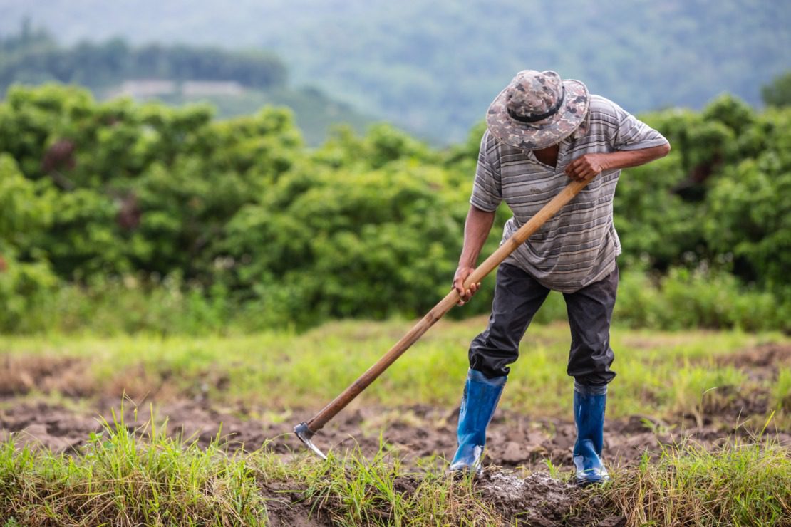 Produtores rurais se reúnem em encontro promovido pela Secretaria de Agricultura e Pesca