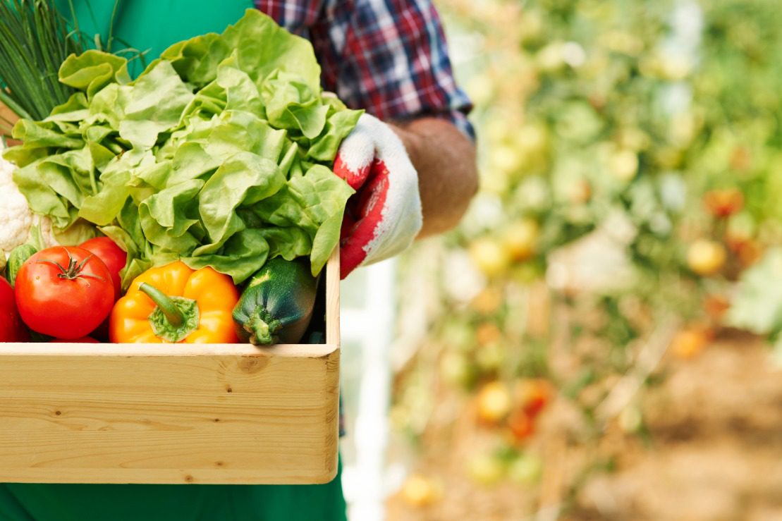 Prefeitura abre chamamento público para aquisição alimentos da agricultura familiar