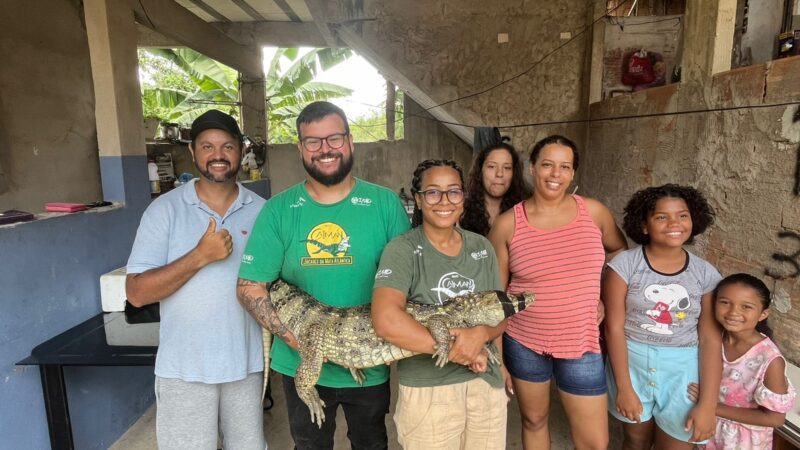 Jacaré-de-papo-amarelo é resgatado em quintal de casa em Cariacica