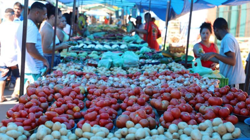 Feira livre de Campo Grande será em novo local a partir do próximo domingo (7)