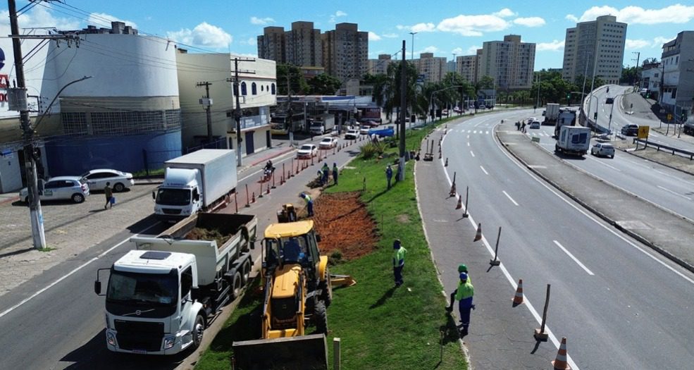 Viaduto na Avenida Mário Gurgel: semáforo é modificado para reduzir retenção de trânsito