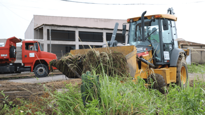 Secretaria de Serviços faz mutirão para limpeza de terrenos baldios no Dia D Contra a Dengue