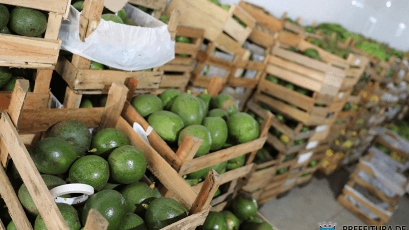 Banco de Alimentos recebe 16 toneladas de alimentos e beneficia mais de 300 famílias em Cariacica