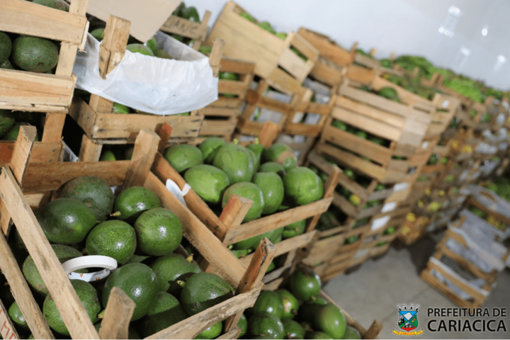 Banco de Alimentos recebe 16 toneladas de alimentos e beneficia mais de 300 famílias em Cariacica
