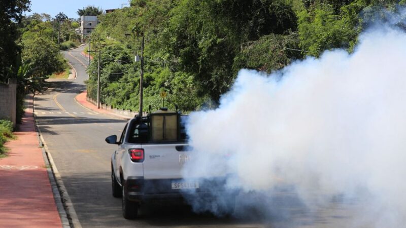 Fumacê em ação: 50 bairros de Cariacica recebem atendimento até sexta (17); confira o cronograma