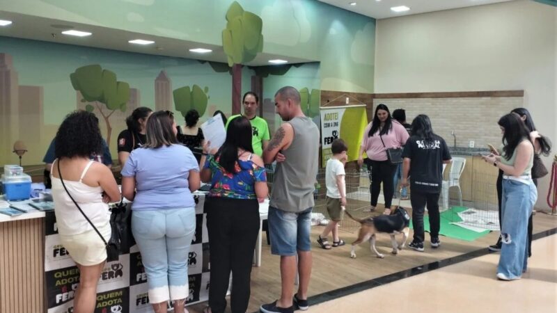 Adote um pet! Feira de Adoção acontece no Shopping Moxuara neste sábado (15)