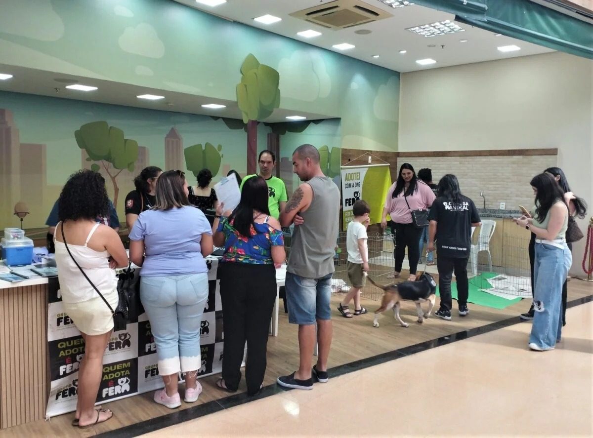 Adote um pet! Feira de Adoção acontece no Shopping Moxuara neste sábado (15)